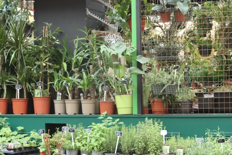 Cultivating a Year‑Round Indoor Herb Garden: Fresh Flavors for Every Season