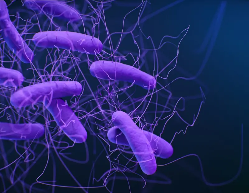 Nurturing Your Skin’s Hidden Community: A Microbiome‑First Personal Care Guide