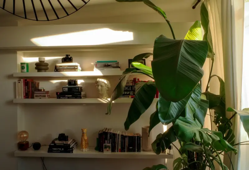 Curating Home Shelves into Living Galleries: A Storytelling Approach