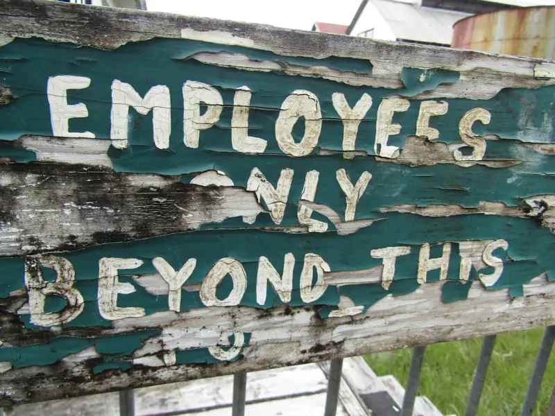 Redefining Employee Value in the Age of Purpose and Flexibility