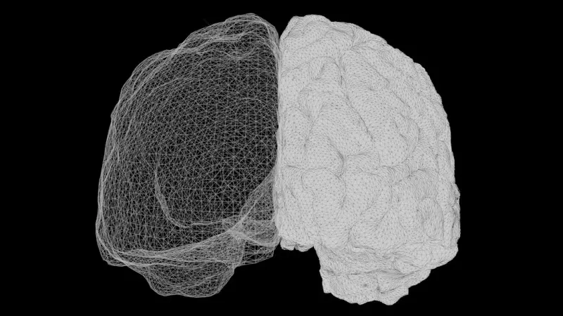 Rewiring Your Brain: The Rise of Digital Boundaries for Mental Health