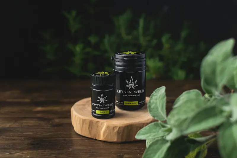 Botanical Boost: Turning Everyday Herbs into High‑Performance Personal Care Rituals