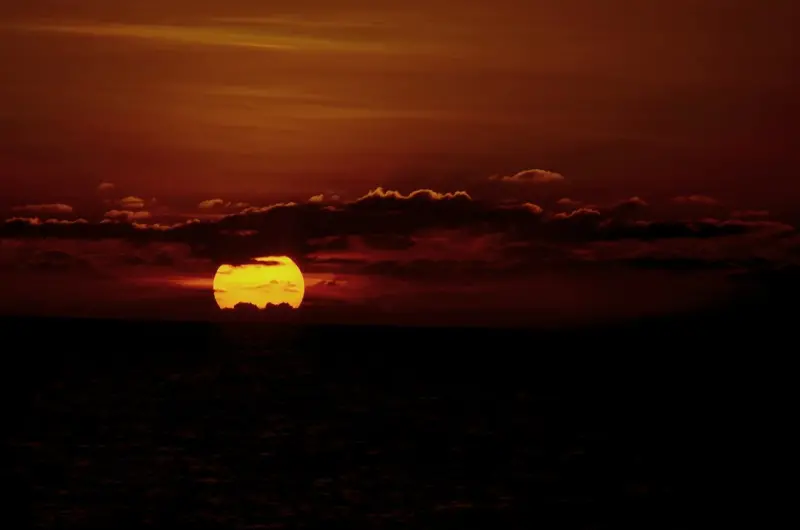 The Digital Sunset: How Turning Off Screens Restores Mental Clarity
