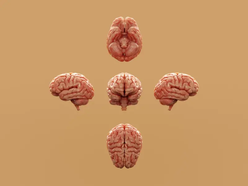 Unlocking the AI Knowledge Graph: Your Personal Brain Extension