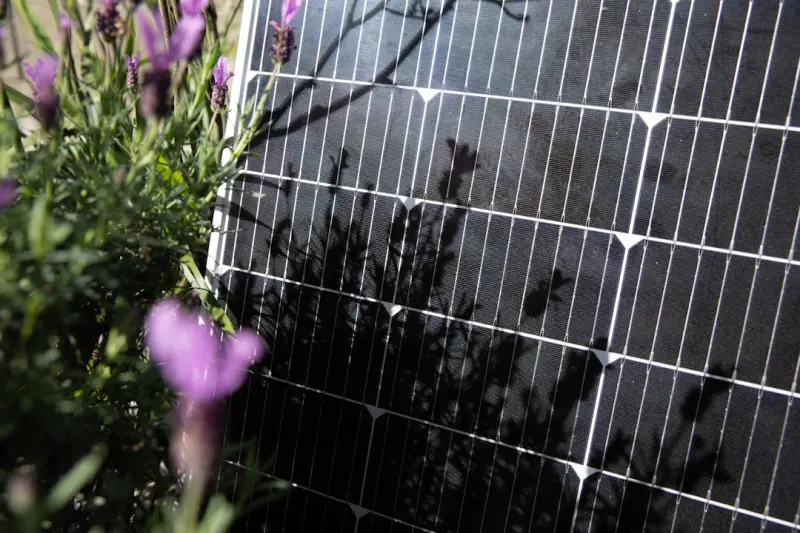 Brightening Your Home with DIY Solar Gardens: A Hands‑On Guide