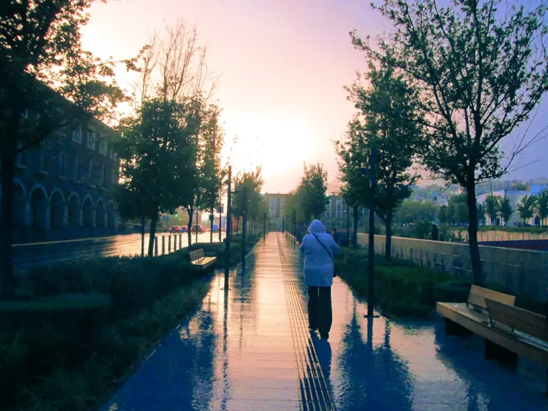 Finding Stillness in the City: A Sensory Approach to Mental Wellness