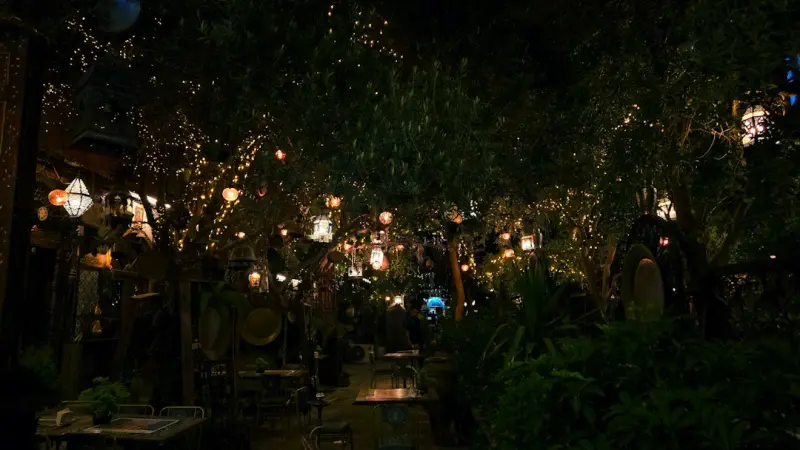Moonlit Gardens: Crafting Nighttime Outdoor Sanctuaries