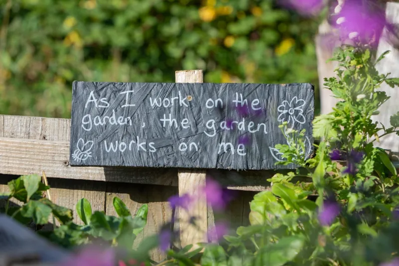 Blossoming Careers: How I Turned My Garden Into a Flexible Home Office Blossoming Careers: How I Turned My Garden Into a Flexible Home Office