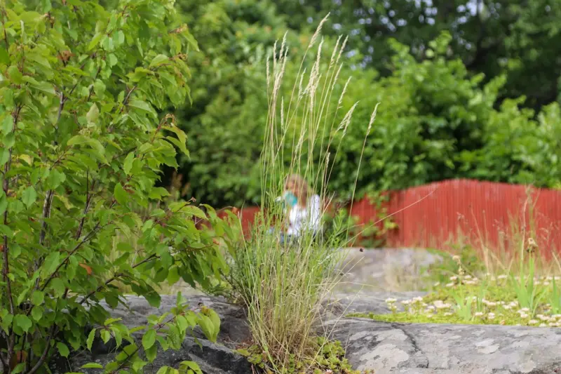 Designing a Sensory Garden: A Fresh Take on Outdoor Wellness