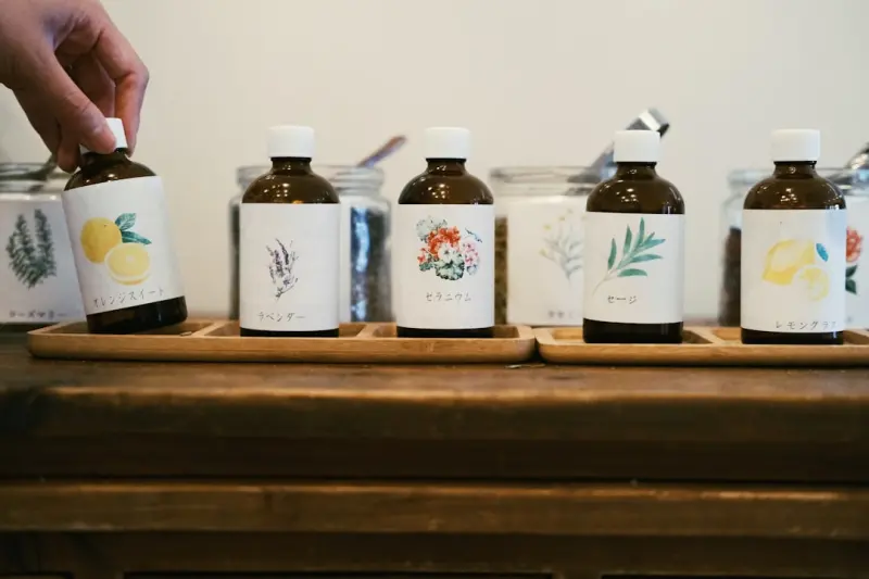 Cultivating a Home Apothecary: The Art of Growing Medicinal Herbs Indoors