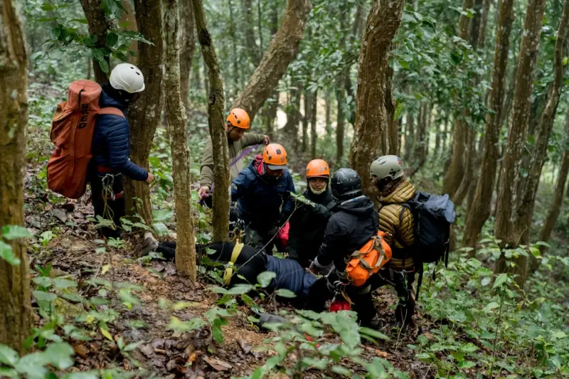 Forest Immersion: A Practical Guide to Boosting Health and Focus