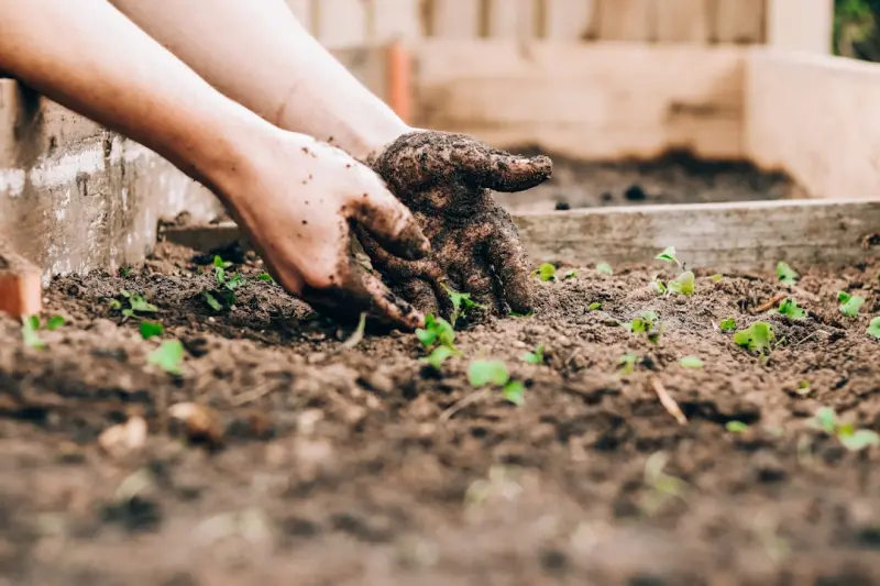 Crafting a Sensory Garden: A Hands‑On Guide to Engaging All Five Senses