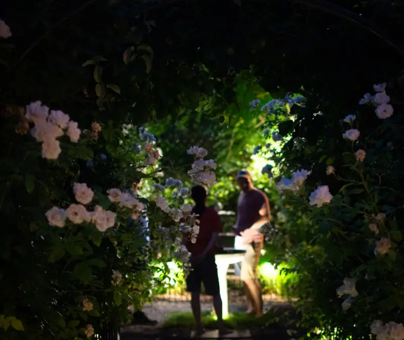 When Dusk Falls: Crafting a Nighttime Garden Oasis