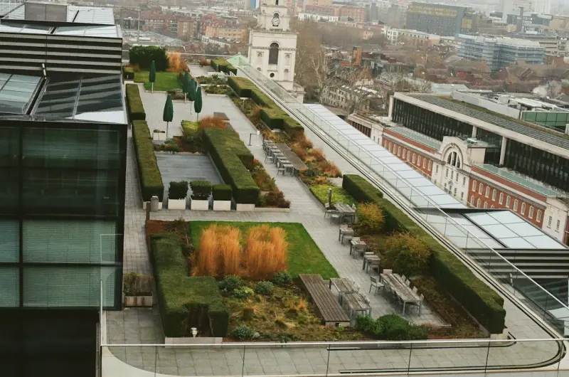 Rooftop Rain Gardens: Turning City Roofs into Lush, Sustainable Sanctuaries