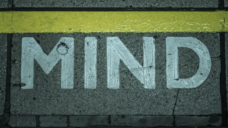The Hidden Power of Structured Daydreaming for Mental Resilience