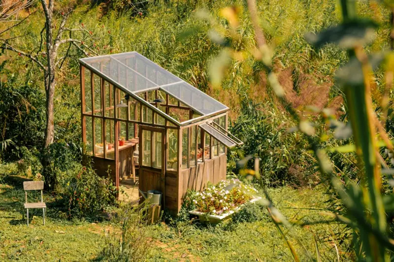 Cultivating a Backyard Oasis: Sustainable Practices for Modern Living