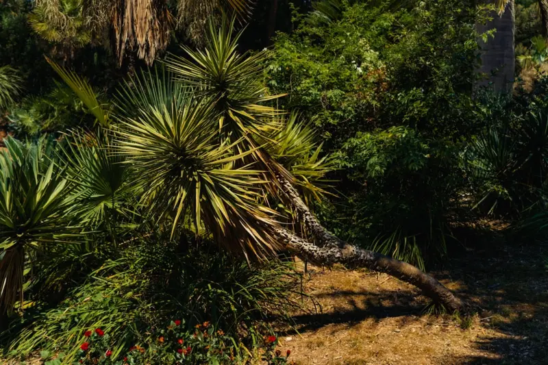 How to Build a Xeriscape Oasis That Thrives With Minimal Water