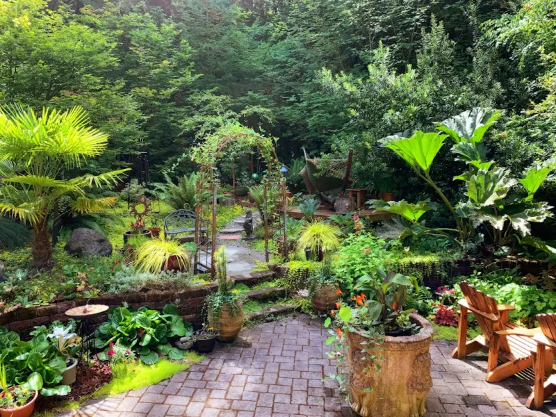 Designing a Backyard Herb Spiral: A Living Palette of Fresh Flavors