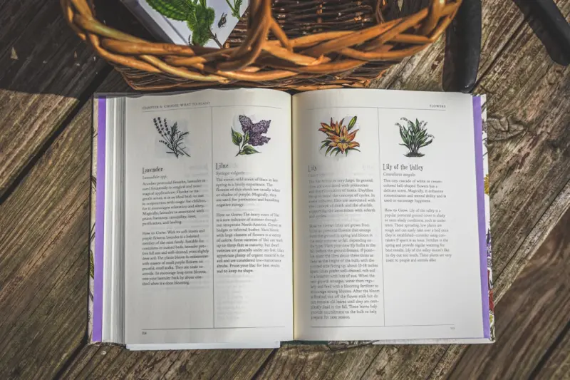 Cultivating a Year‑Round Aromatherapy Garden Inside and Out