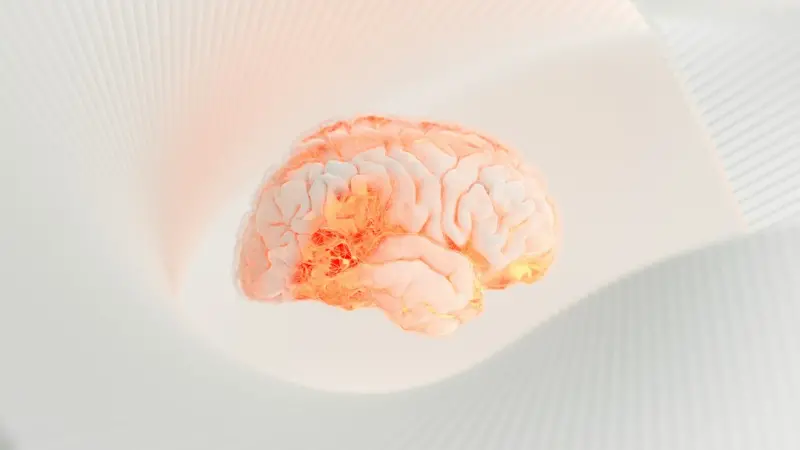 Nourish Your Brain: Food, Rhythm, and Micro‑Habits for Sustainable Energy