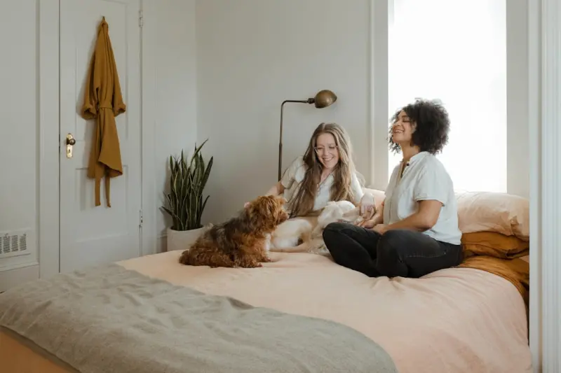 Reimagining Your Home: Simple Shifts for a Calmer, More Productive Space Reimagining Your Home: Simple Shifts for a Calmer, More Productive Space