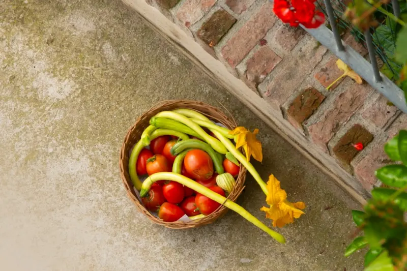 Balcony Bounty: A Year‑Round Guide to Growing Fresh Food in Small Urban Spaces Balcony Bounty: A Year‑Round Guide to Growing Fresh Food in Small Urban Spaces