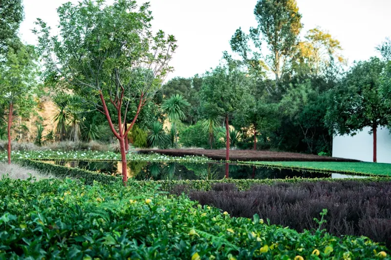 Reviving Heritage Heirloom Gardens: A Modern Homeowner’s Journey