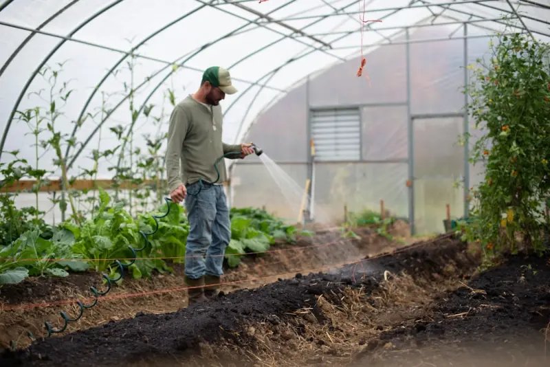 Cultivating Climate‑Smart Gardens: Small‑Space Strategies for a Resilient Home