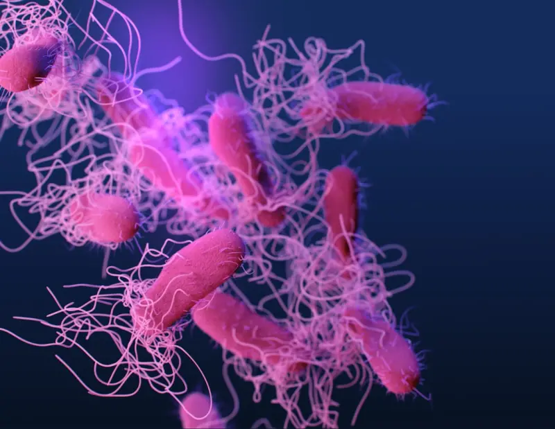 Gut Microbiome Mastery: Small Shifts for Big Energy and Focus Gains