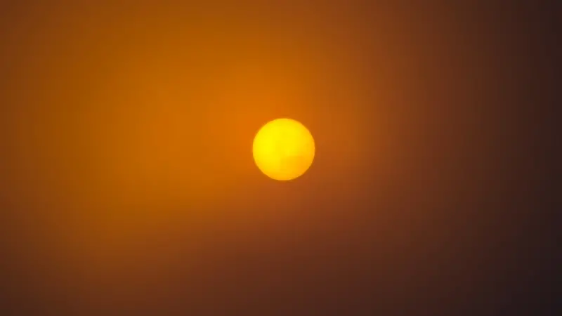 Let the Sun In: Light Exposure as a Daily Health Hack
