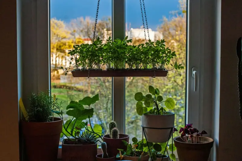 The Secret Power of Backyard Water Features: A Practical Guide for Modern Homeowners