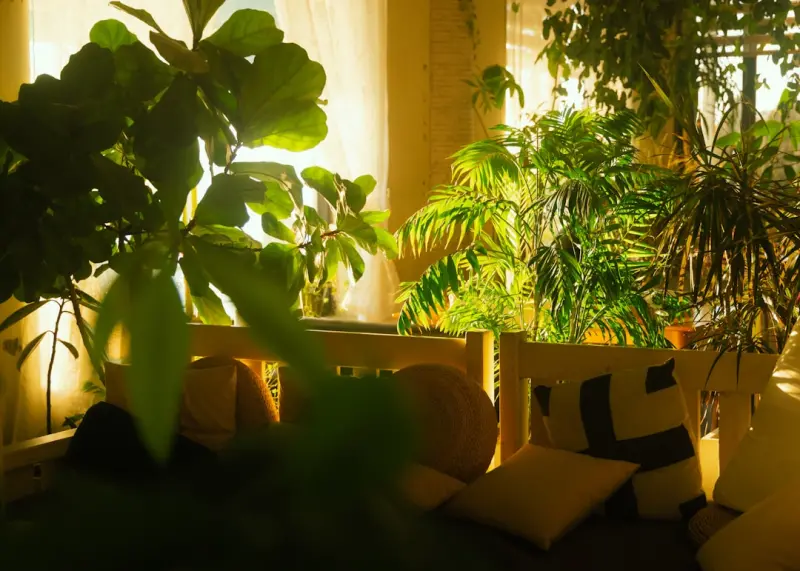 Let the Sun In: Mastering Indoor Light for a Thriving Home Garden
