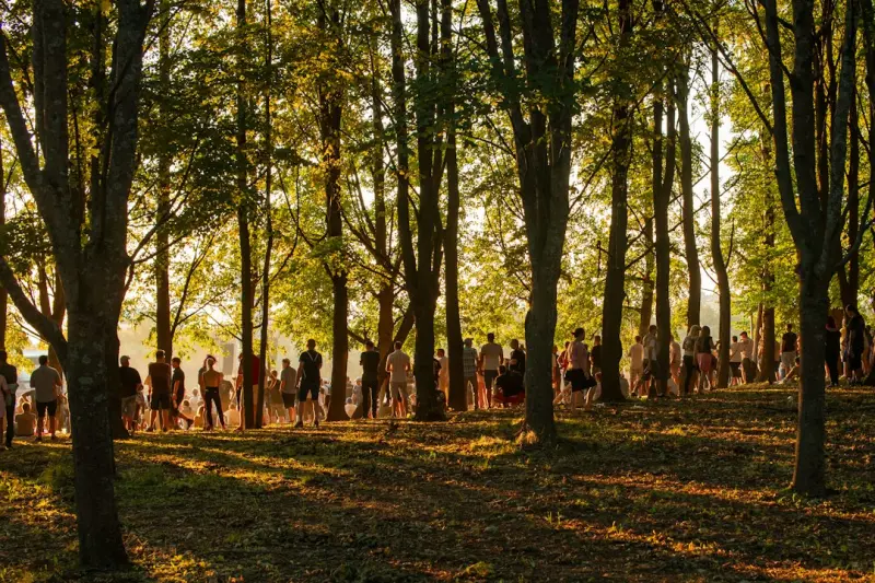 Forest Bathing: How Urban Dwellers Can Reconnect with Nature for Better Health