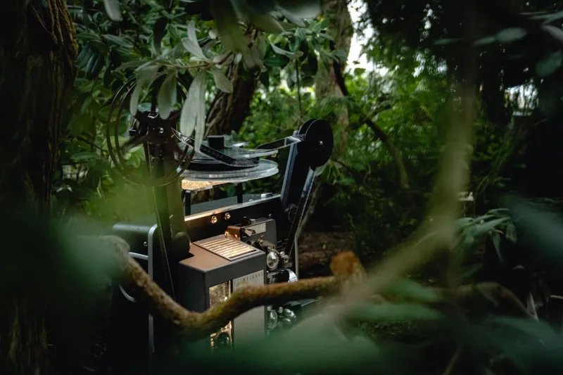 Cultivating Success: How My Garden Desk Transformed Home Life and Productivity Cultivating Success: How My Garden Desk Transformed Home Life and Productivity