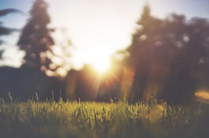 Let the Sun In: Reclaiming Natural Light for a Healthier Workday