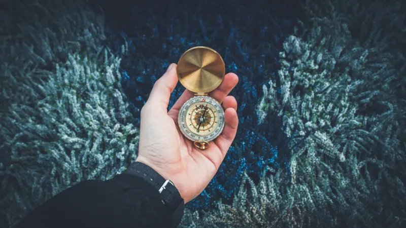 Equity as a Career Compass: Turning Ownership into the Core of Modern Employment