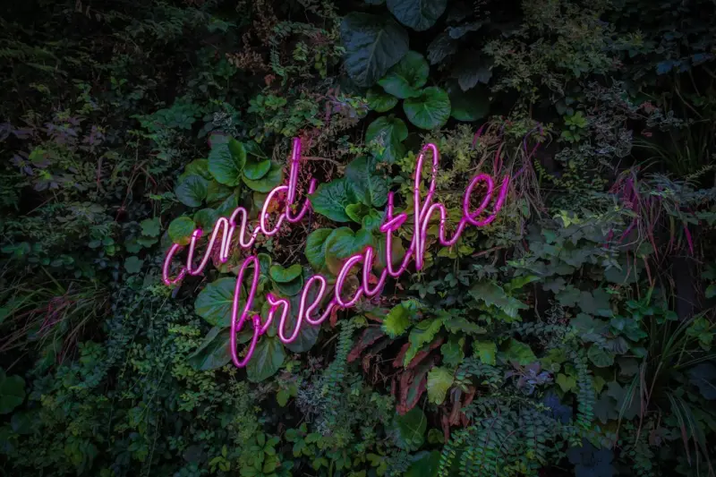 Breathe Better, Live Better: Practical Breathwork for Busy Lives