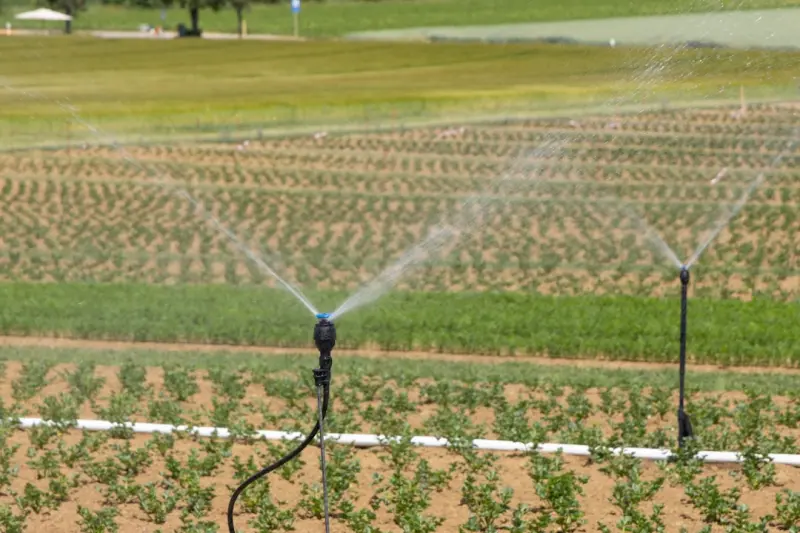 Smart Irrigation Made Simple: A DIY Guide to a Tech‑Savvy Garden