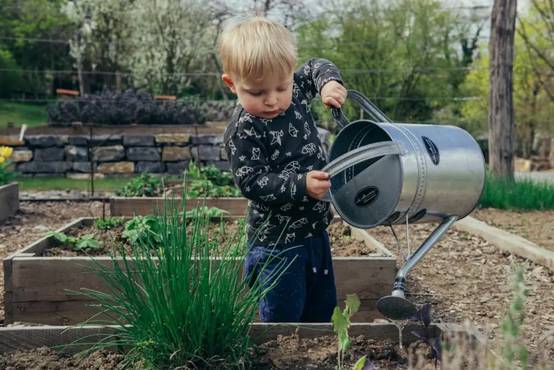 Smart Water Strategies: Turn Your Garden into a Sustainable Oasis