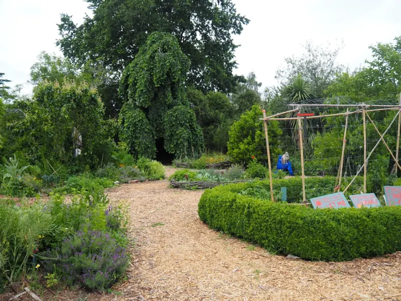 Cultivating a Sensory Garden: A Multi‑Sensory Retreat for Home & Garden Lovers