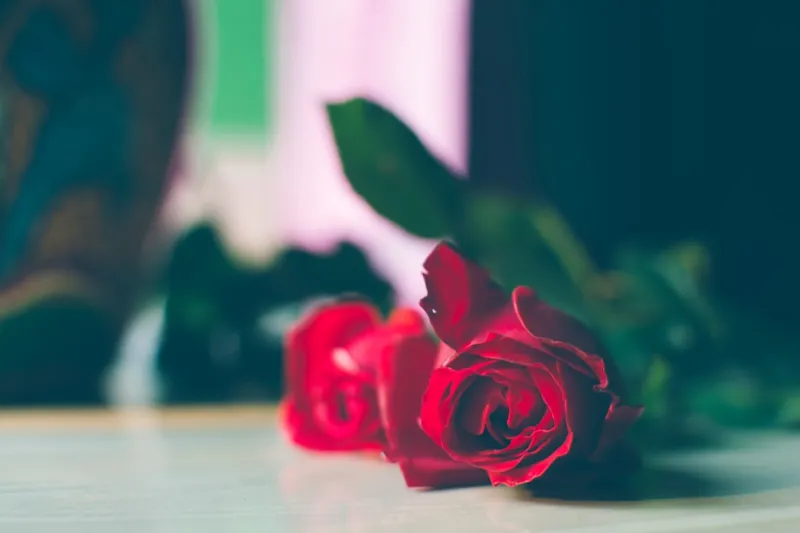 Why Garden Desks Are the Future of Employment: A Rose DesRochers Perspective