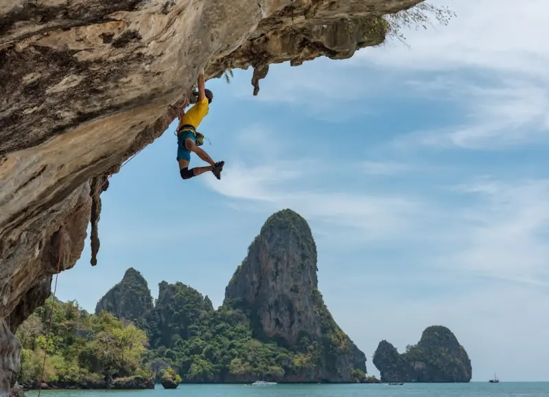 Unlocking Internal Mobility: Climb the Career Ladder Without Changing Companies