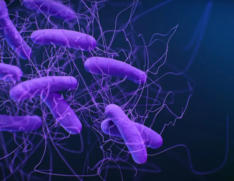 Nurturing Your Skin’s Microbiome: A Practical Guide to Micro‑Friendly Personal Care