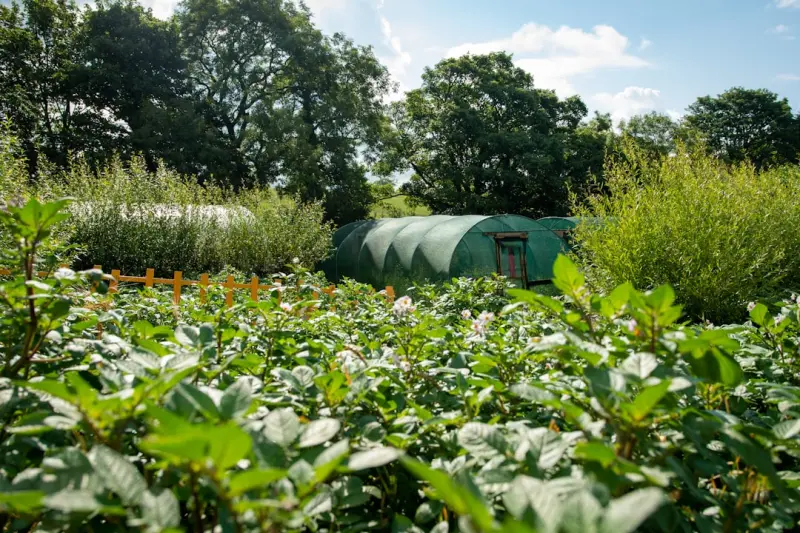 Seasonal Scent Curation and Sustainable Garden Design: A Fresh Take on Home & Garden
