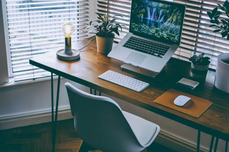 Why My Garden Desk Became the Ultimate Career Boost