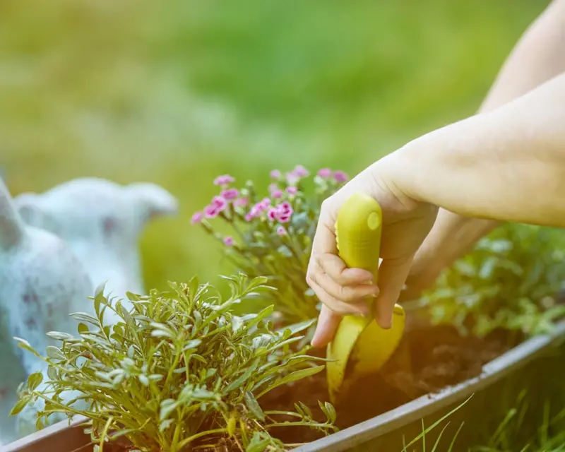 Creating a Multi‑Sensory Garden That Nurtures Body and Mind