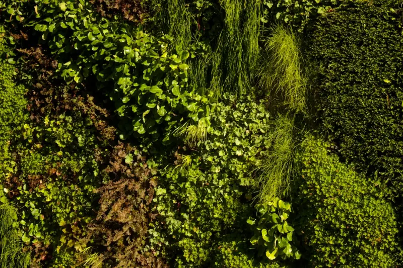 Vertical Garden Mastery: Transform Small Spaces into Living Walls