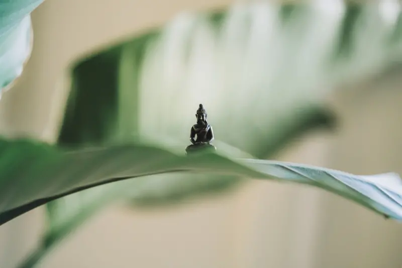 Micro-Meditations: Tiny Shifts for Big Mental Gains