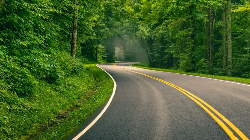 Skill Swaps on the Road: Turning Every Trip Into a Two‑Way Learning Experience