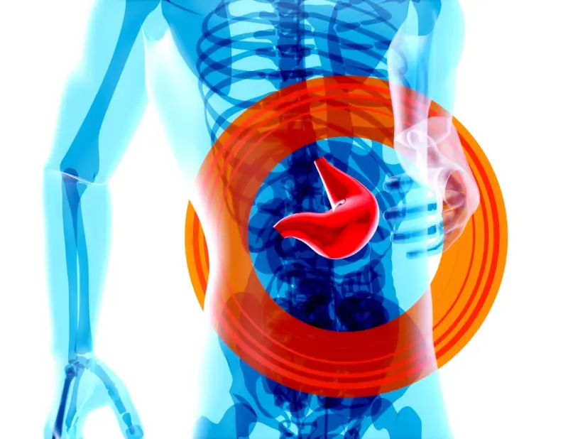 Gut Health Hacks for High‑Performance Professionals